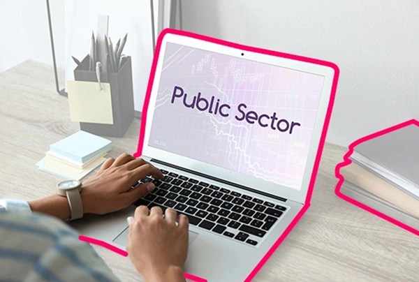 Public sector