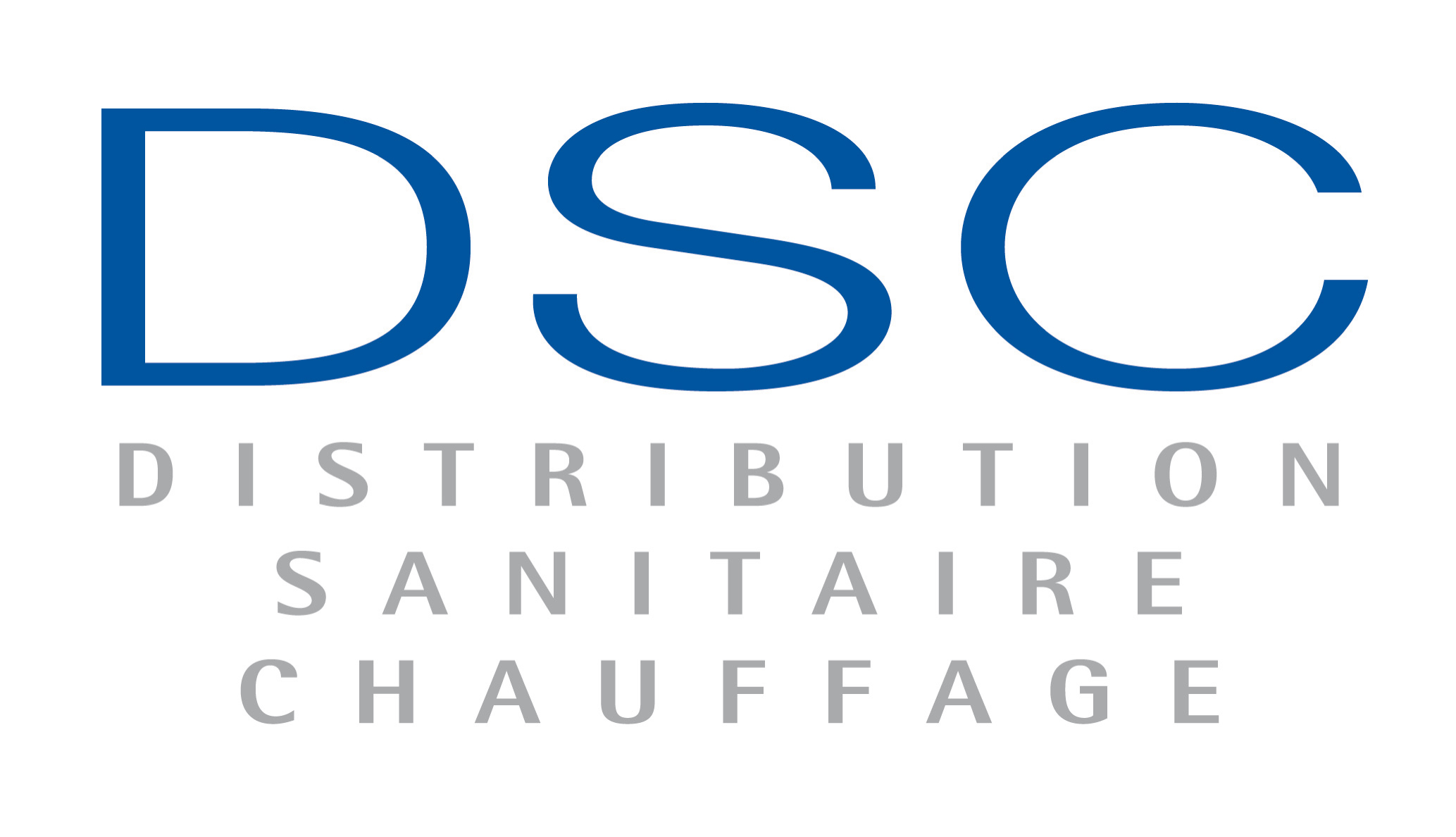DSC logo